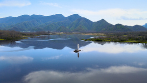 5A风景区神农架大九湖五号湖六号湖帆船航拍4K161秒视频