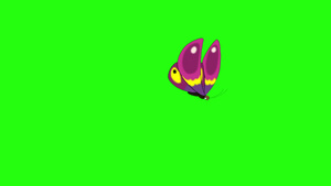 粉色蝴蝶12秒视频