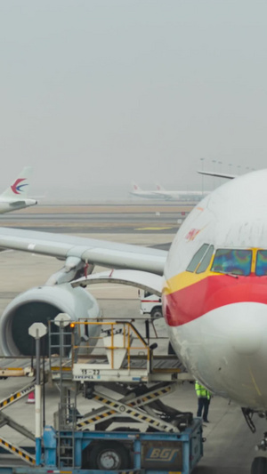 北京机场繁忙机务15秒视频