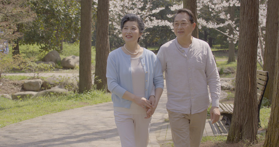 老年夫妻公园散步视频