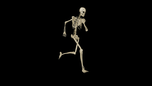 骨架正在变形成人类背景视频视频