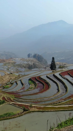 红河哈尼元阳梯田老鹰嘴景区视频旅游景区88秒视频