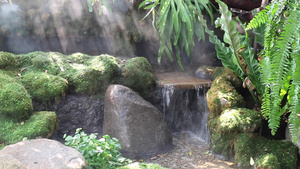 热带花园中的瀑布8秒视频