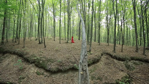 美丽的女人在森林中行走21秒视频