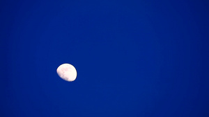 夜深蓝天上半月亮27秒视频