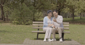 老年夫妇公园长椅上用手机视频电话29秒视频