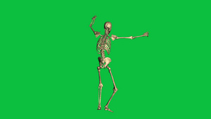 3D骨架投降动画绿幕13秒视频