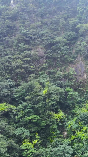 5A风景区江西明月山云谷飞瀑瀑布奔腾航拍合集江西旅游49秒视频