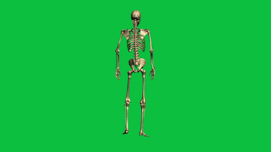 3D骨骼坠落动画视频