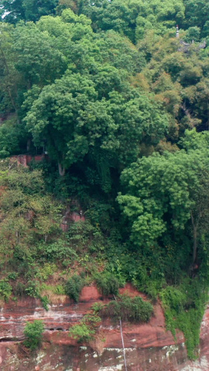 实拍乐山大佛美景5A景区21秒视频