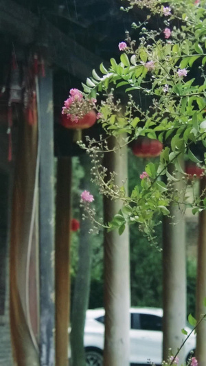 古庙雨水雨滴慢动作屋檐雨滴80秒视频