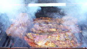 烟熏烤架上的猪肉烧烤排骨在野餐外的烤架上用木炭烤着火29秒视频