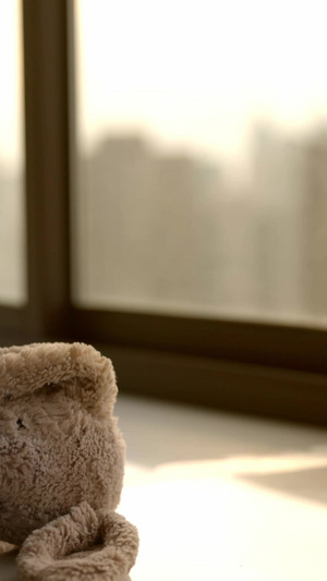 窗前孤独的兔子玩偶10秒视频