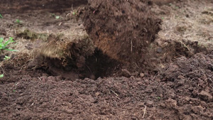 冬季过后挖掘土壤为耕种做准备13秒视频