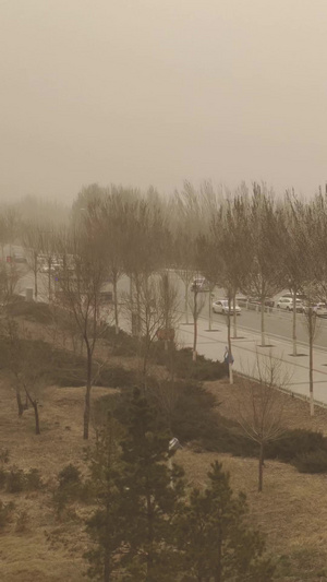 拍摄新疆和内蒙古沙尘暴扬沙天气刮大风59秒视频