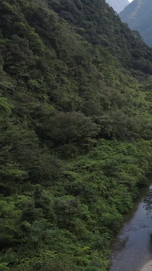 航拍国家5A级旅游景区重庆黑山谷景区大门巴渝新十二景24秒视频