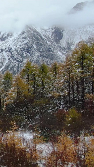 毕棚沟景点燕子岩雪景风光航拍视频旅游景点60秒视频