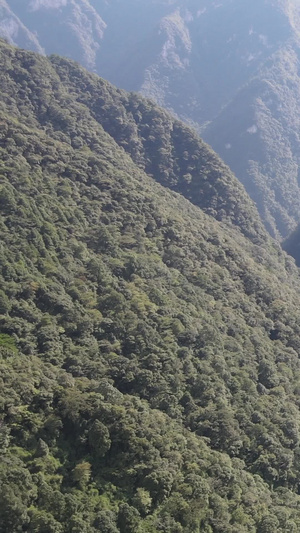 国家5A级旅游景区重庆黑山谷九曲画屏鱼跳峡43秒视频