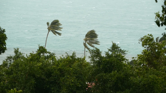 自然飓风灾害期间的海边风景视频