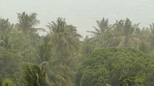 自然灾害飓风期间的海边风景视频