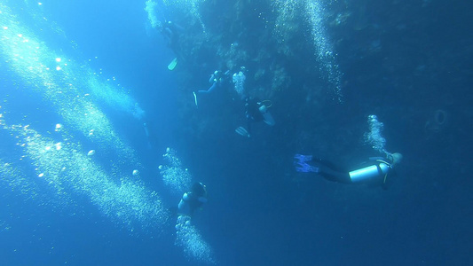 4K海底实拍潜水员视频