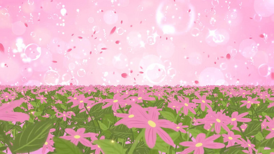 唯美的动态温馨花海粉色大气粒子光晕舞台背景视频视频