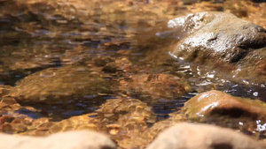 清洁的泉水流淌在岩石中9秒视频