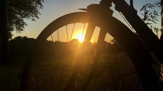 日落时的自行车轮视频