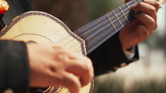 在墨西哥城市演奏一种墨西哥乐器视频