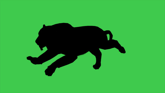 3d 红豹在绿屏幕上分离的移动双光影的动画视频