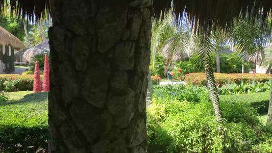 精良热带花园视频