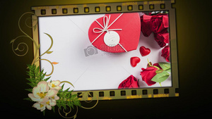 胶片质感婚礼相册展示PR模板51秒视频