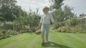 高级女老人在花园里走过自己的花园30秒视频