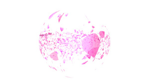 粉红沙库拉叶子坠落飘浮在空中球球球体上20秒视频