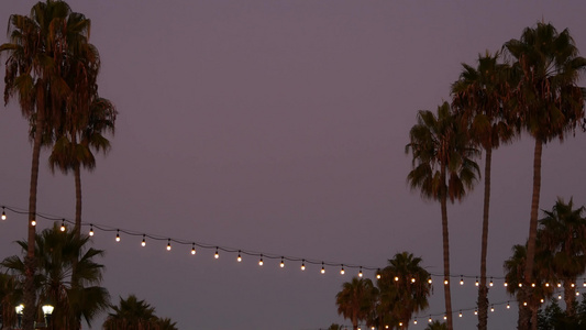 装饰凝视的花环灯棕榈树剪影傍晚的天空模糊的背景加利福尼亚州视频