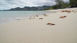 泰国苏梅岛查汶海滩的白色沙滩26秒视频
