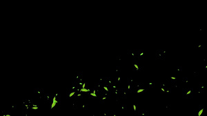 绿叶点缀粒子带通道13秒视频