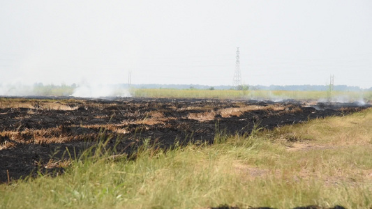 焚烧干草对环境有危险;或视频