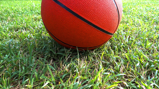 草地上的篮球视频