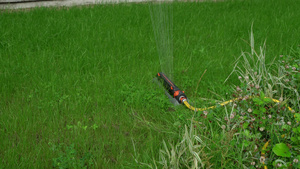给草坪浇水的自动喷洒灭火器系统15秒视频