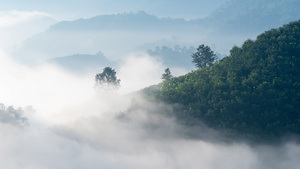 清晨日出时在自然山上漂移的奇妙自然云雾时间消逝8秒视频