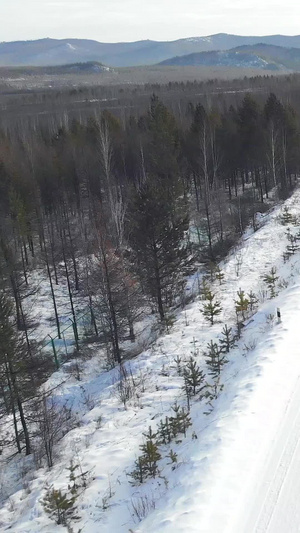 航拍雪地高速飞驰的汽车13秒视频