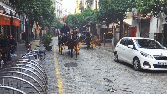 西班牙塞维利亚传统交通马车视频