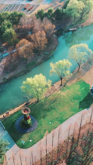 上海松江辰山植物园春暖花开57秒视频