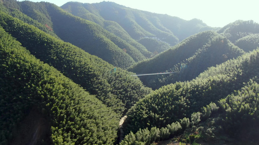 航拍安徽旅游景区林坑竹海视频视频