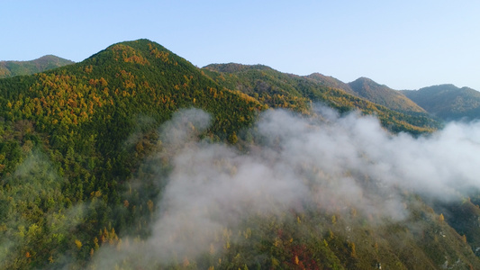 山区秋天云海航拍视频