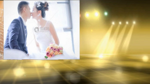 飞翔的心红心特效浪漫婚礼图片展示会声会影X10模板221秒视频