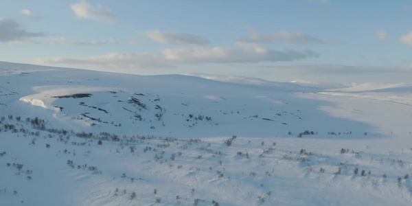 冬季雪地森林航拍视频