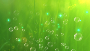 4k绿色草地清新气泡背景120秒视频