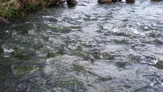 流水小河清澈水流升格视频视频
